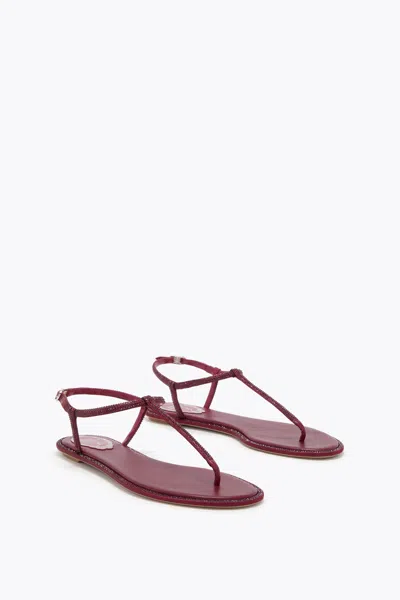 René Caovilla Diana Bordeaux Satin-lamb/siam Strass Thong In Red