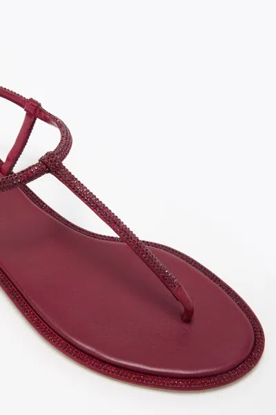 René Caovilla Diana Bordeaux Satin-lamb/siam Strass Thong In Red