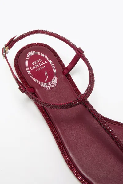 René Caovilla Diana Bordeaux Satin-lamb/siam Strass Thong In Red