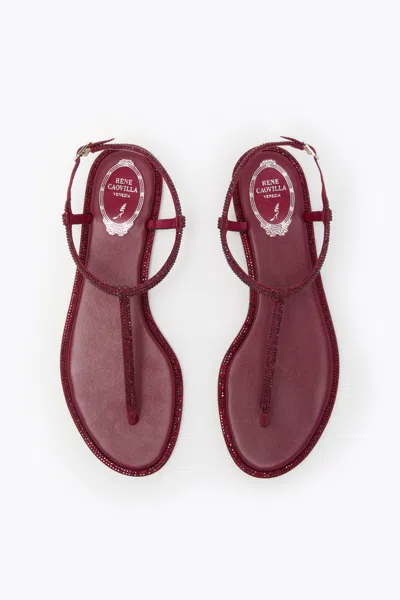 René Caovilla Diana Bordeaux Satin-lamb/siam Strass Thong In Red