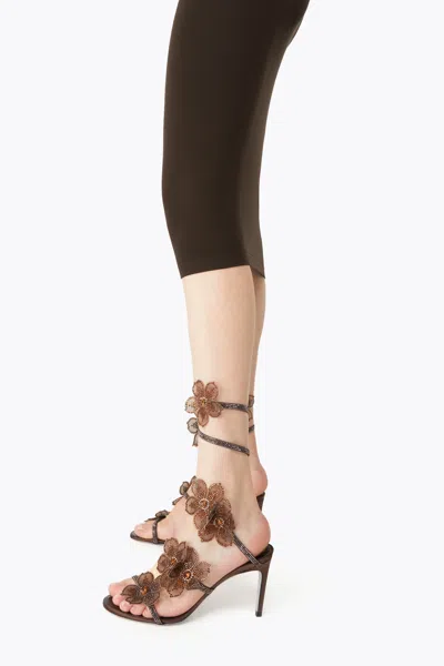 René Caovilla Floriane Dark Brown Satin/jet Silver Flare S Sandal