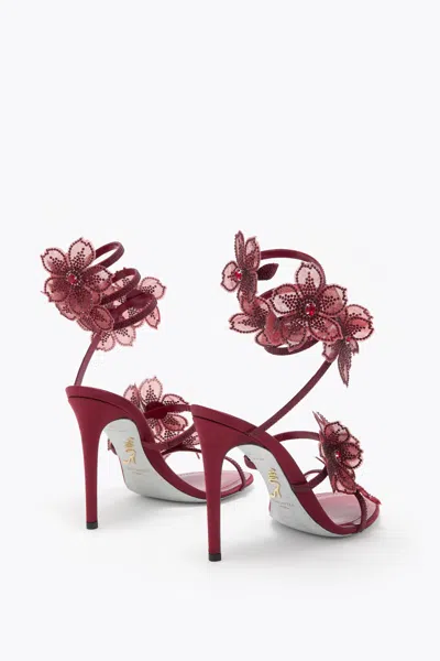 René Caovilla Floraine Crystal Flower Satin Snake Wrap Sandals