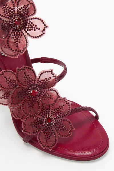 René Caovilla Floraine Crystal Flower Satin Snake Wrap Sandals