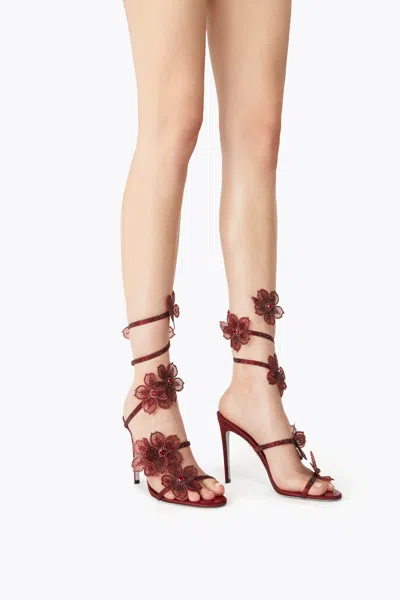 René Caovilla Floraine Crystal Flower Satin Snake Wrap Sandals