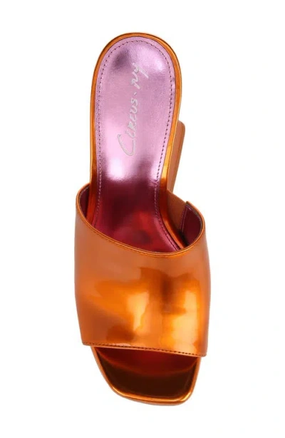 Circus Ny By Sam Edelman Avery Platform Sandal