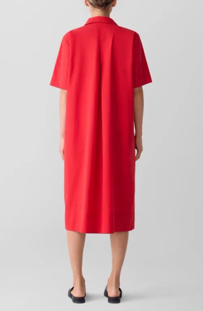 Eileen Fisher Classic Organic Cotton Poplin Midi Shirtdress In Red