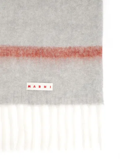 Marni Fringed Alpaca Scarf In Neutral