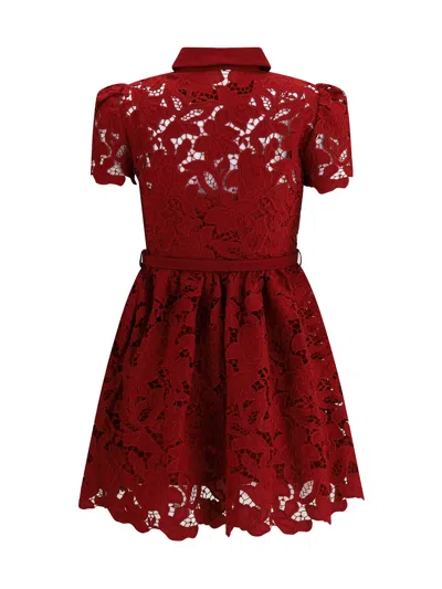 Self-portrait Womens Embroidered Collared Lace Mini Dress Burgundy In Red