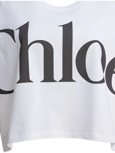 Chloé White Cropped T-shirt With Logo Lettering Print In Cotton Woman