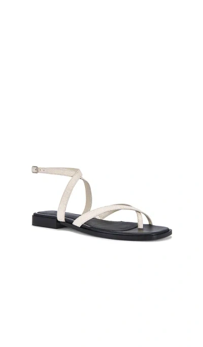 Paige Reese Ankle Strap Sandal In Multi