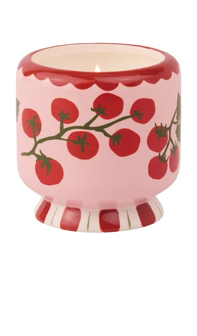 Paddywax A Dopo 8 oz Scented Candle In Heirloom Tomato At Urban Outfitters In Multi
