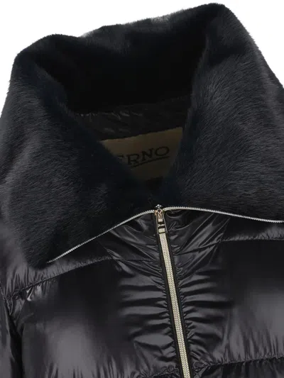 Herno Padded Zip-up Down Jacket In Black