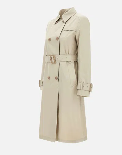 Herno Sand Cotton Gabardine Trench Coat In Gray