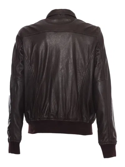 Schott Jacket In Black