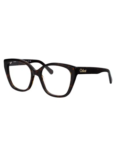 Chloé Havana Havana Transparent Acetate Glasses In Multi