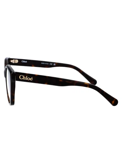 Chloé Havana Havana Transparent Acetate Glasses In Multi
