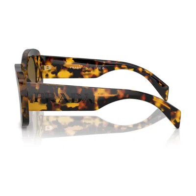 Prada Womens Pr A13s Butterfly-frame Acetate Sunglasses Yellow In Brown