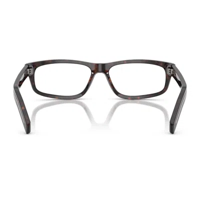 Prada Pr B02v 17n1o1 Root Havana Glasses In Gray