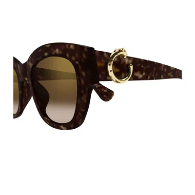 Cartier Ct0547s Panthère C De  002 Havana Brown Sunglasses