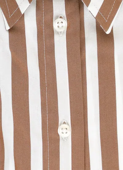Fay Shirts