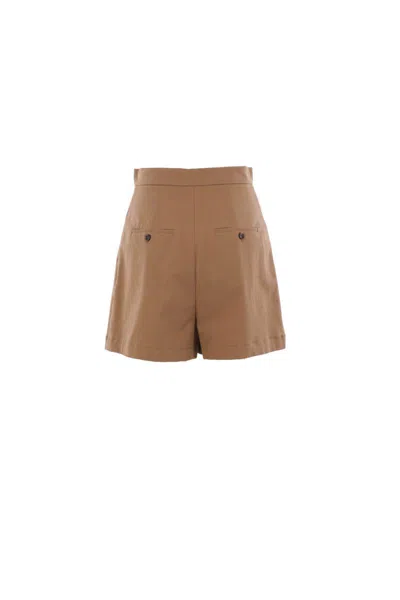 Max Mara Shorts In Brown