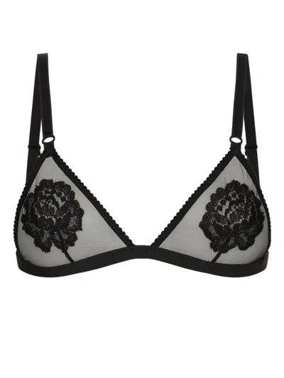 Dolce & Gabbana Floral Triangle Bra In Multi