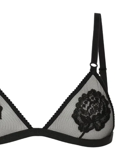 Dolce & Gabbana Floral Triangle Bra In Multi