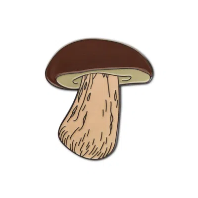 Make Heads Turn Brown / Black Magnet Boletus