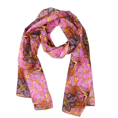 Benni Marine Designs Women's Pink / Purple Silk Cotton Scarf - In The Pink