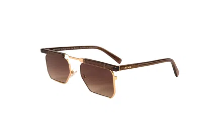 Galfer Eyewear Women's Gold / Brown Miaja Sunglasses Retro Square Frame