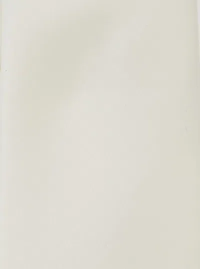 Tagliatore White Classic Tie In Fabric Man In White