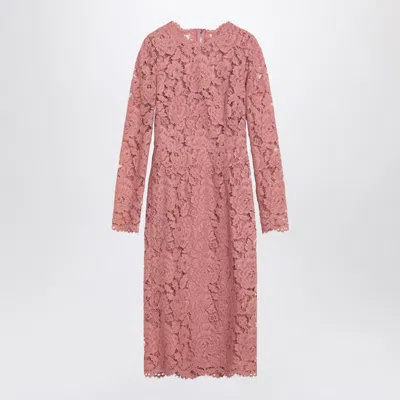 Dolce & Gabbana Women Branded Floral Cardonetto Lace Sheath Dress