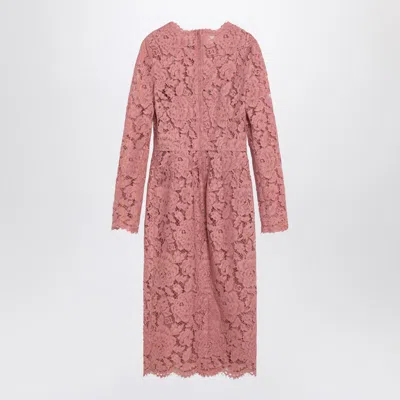 Dolce & Gabbana Women Branded Floral Cardonetto Lace Sheath Dress