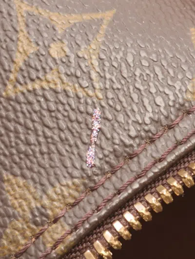 Pre-owned Louis Vuitton 2000 Packall Sac Ad Handbag