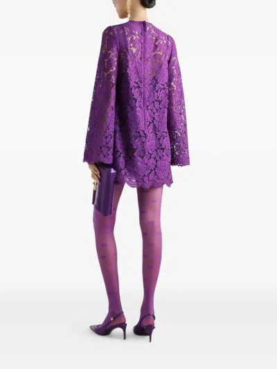 Dolce & Gabbana Cordonetto Lace Short Dress In Purple