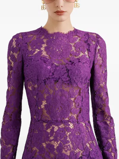 Dolce & Gabbana Cordonetto Lace Dress In Purple