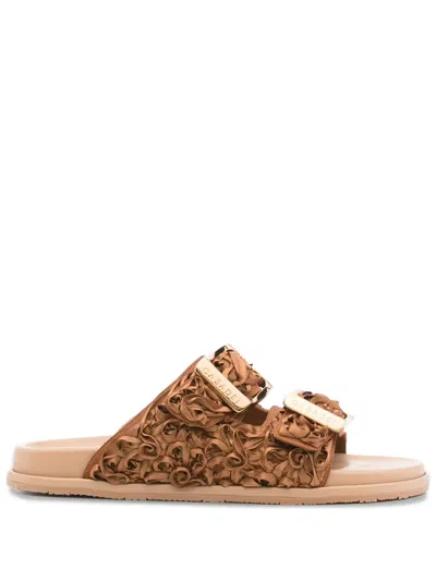 Casadei Birky Buckle-strap Slides In Brown