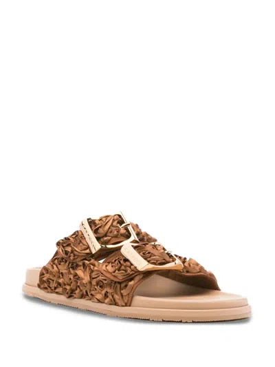 Casadei Birky Buckle-strap Slides In Brown