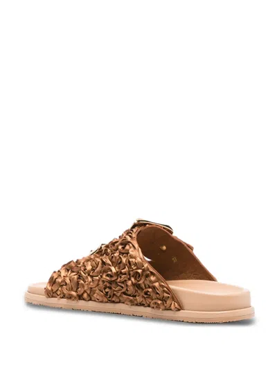 Casadei Birky Buckle-strap Slides In Brown