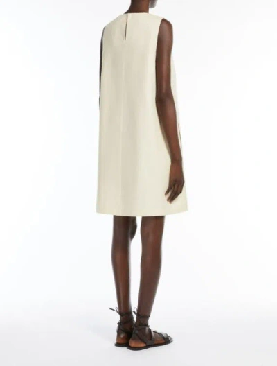 Weekend Max Mara Omens Donald Floral-embroidered Cotton-blend Mini Dress Ivory In Neutral