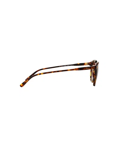 Polo Ralph Lauren Classic Panto Sunglasses In Brown