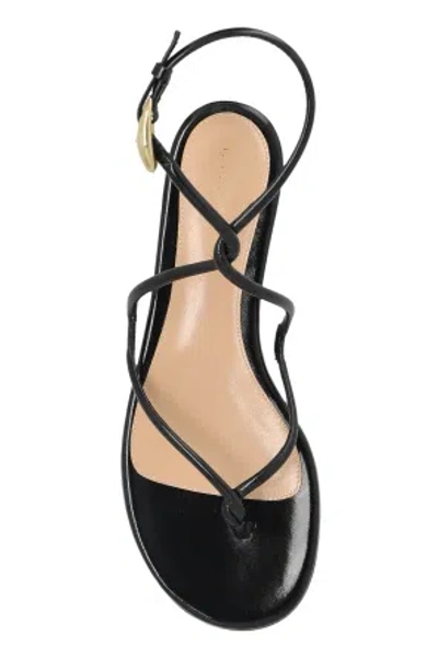 Gianvito Rossi Mamba Leather Flat Sandals In Black