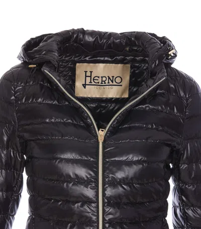 Herno Puffer Jacket Lightweight Drawstring Hood In Black