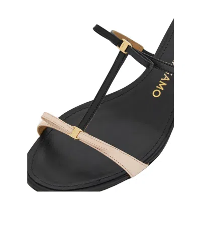 Ferragamo Kitten-heel Sandals With Bow T-strap In Multi