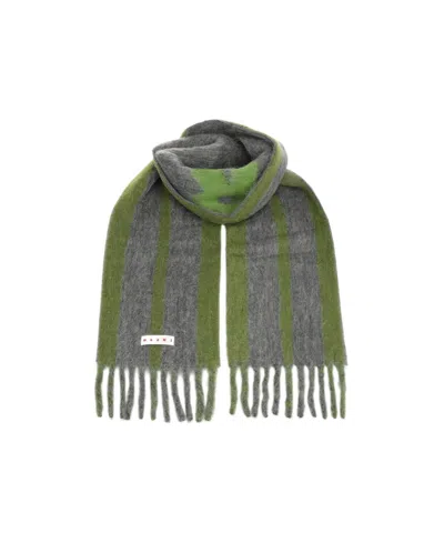 Marni Soft Fringed Striped Scarf In Gray