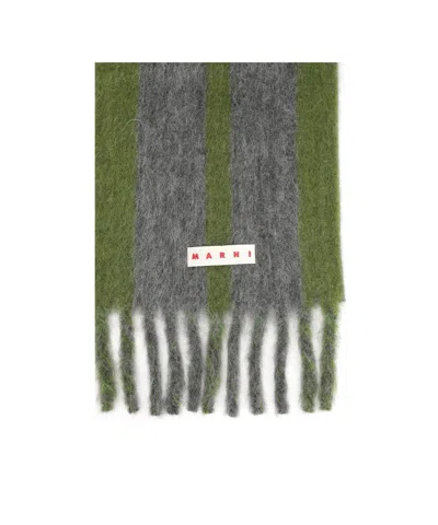 Marni Soft Fringed Striped Scarf In Gray