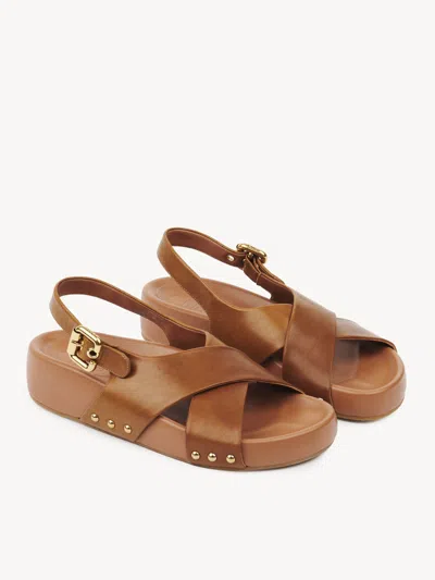 Chloé Round Toe Flat Sandals In Brown