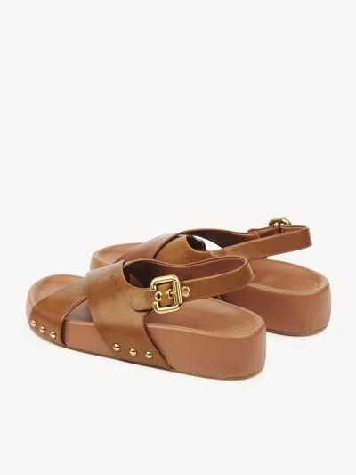 Chloé Round Toe Flat Sandals In Brown