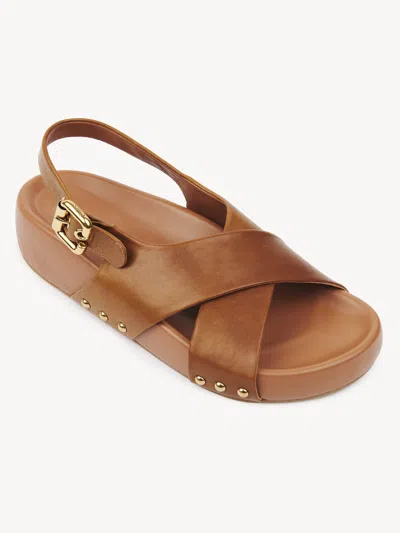 Chloé Round Toe Flat Sandals In Brown