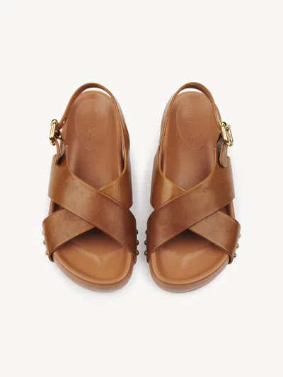 Chloé Round Toe Flat Sandals In Brown
